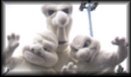 Ghosts